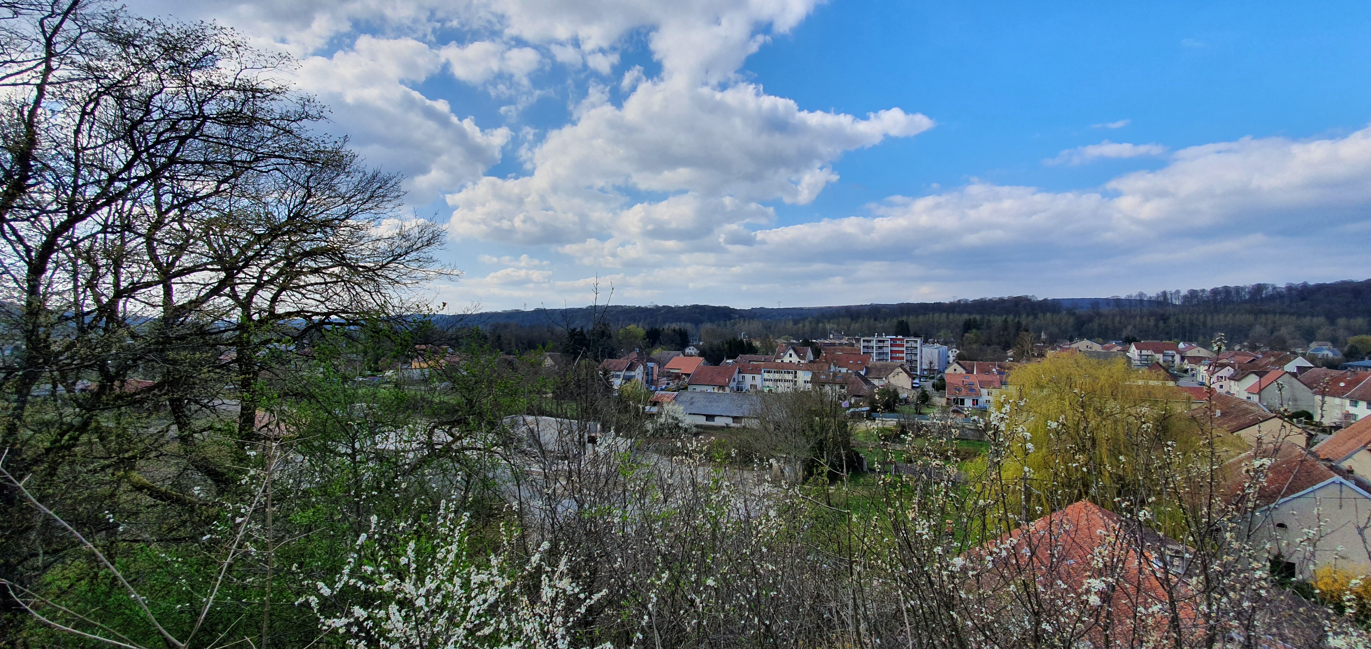 vue village 2